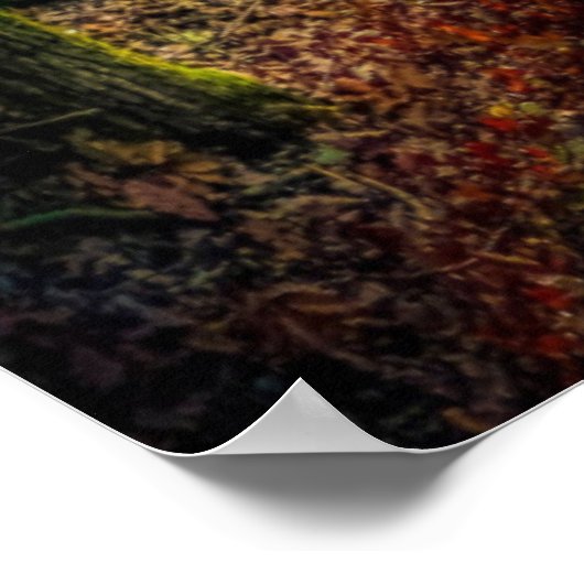 119:105 POSTER (Hoek)