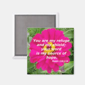 119:114 MAGNEET (Voorkant / Achterkant)