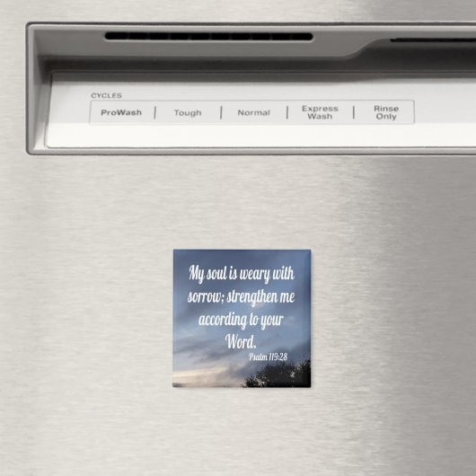 119:28 MAGNEET (Insitu (Vaatwasser))