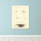 119 Doden oud, diarree ziektes 1900, 1890 Canvas Afdruk (Insitu (Houten vloer))