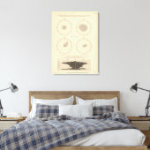 119 Doden oud, diarree ziektes 1900, 1890 Canvas Afdruk (Insitu (Slaapkamer))