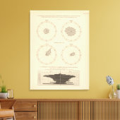 119 Doden oud, diarree ziektes 1900, 1890 Canvas Afdruk (Insitu (Woonkamer))