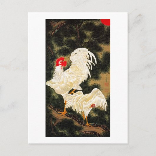 11. 老 白 図, 若 Pine-tree & White Chickens, Jakuchüu Briefkaart (Voorkant)