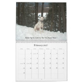 11-2008_02, de dubbele Dalmatiaan... - Gepersonali Kalender (Feb 2027)