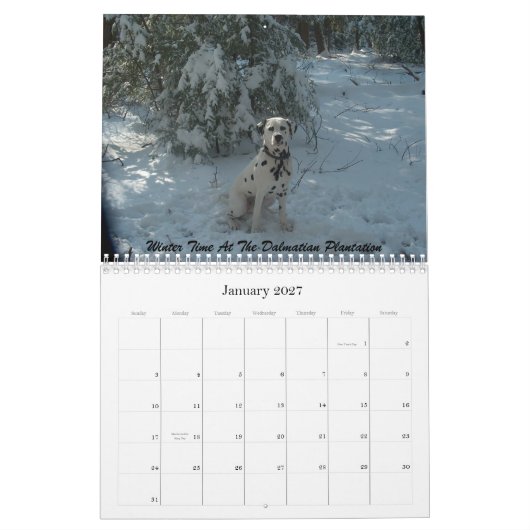 11-2008_02, de dubbele Dalmatiaan... - Gepersonali Kalender (Jan 2027)
