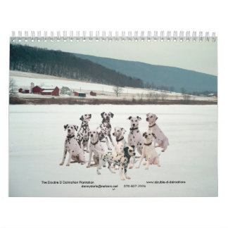 11-2008_02, de dubbele Dalmatiaan... - Gepersonali Kalender