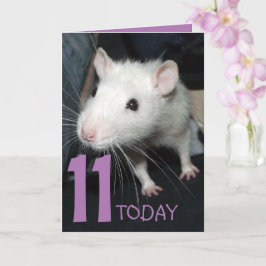 11 hedendaagse (aanpasbare) Husky rat Birthday Car Kaart