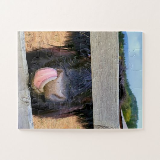 11-inch x14-inch Puzzle 30 pc Easy || Schotse hoog Legpuzzel (Horizontaal)