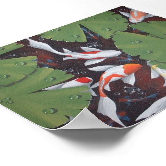 11 koi poster (Hoek)