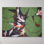 11 koi poster (Voorkant)