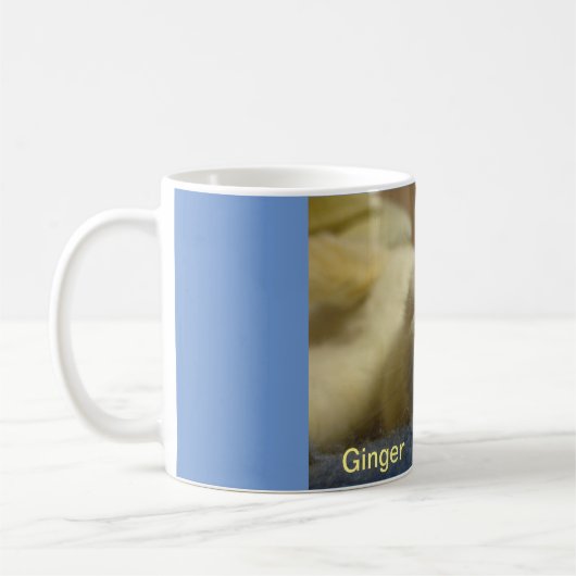 11 oz Coffee-Mok met Ginger Koffiemok (Links)