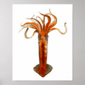 11 Red Squid Zee Life Print (Voorkant)