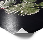 11"x14" Waterlelies Foto Afdruk (Hoek)