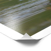 11 x 14 Black-bellied Whistling Duck Foto Afdruk (Hoek)