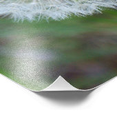 11 x 14-inch mooie andelion foto afdruk (Hoek)