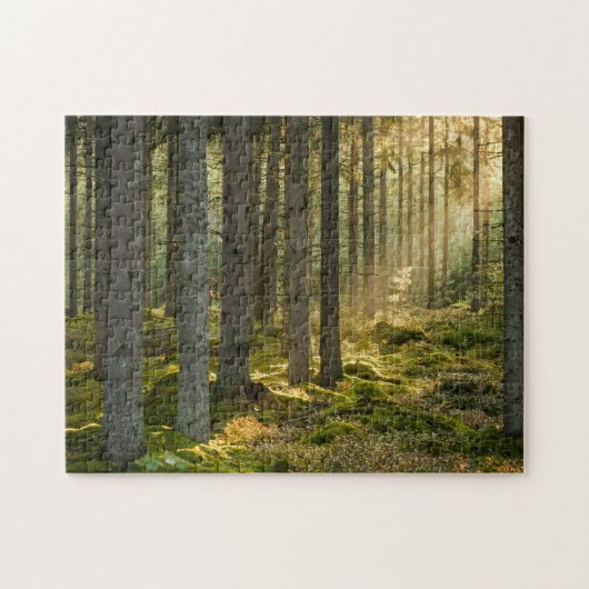 11 x 14-inch Scenes Legpuzzel (Horizontaal)