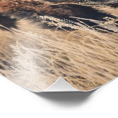 11 x 14 Print - Frosty Morning Foto Afdruk (Hoek)