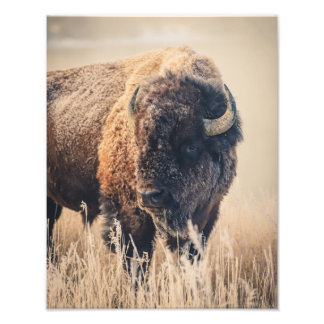 11 x 14 Print - Frosty Morning Foto Afdruk