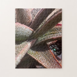 11 x 14 x 252 pc met succulent plant alleen rood legpuzzel