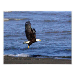 11 x 8,5-inch Kodak Professional-fotopapier (Satin Foto Afdruk