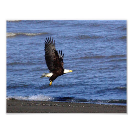 11 x 8,5-inch Kodak Professional-fotopapier (Satin Foto Afdruk (Voorkant)