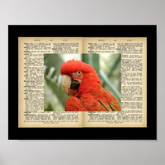 11 x 8,5-inch Poster (Design voor vogel en tekst ) (Voorkant)