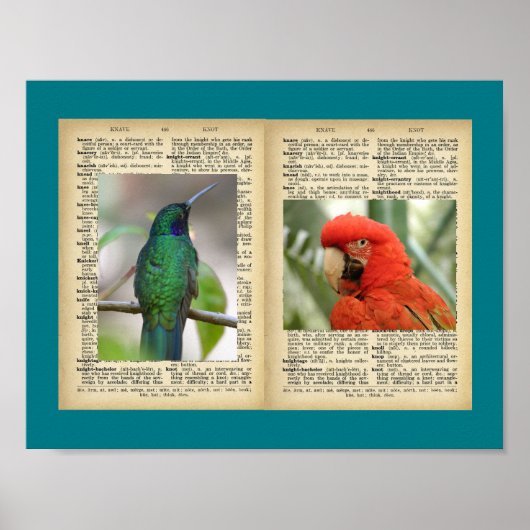 11 x 8,5-inch Poster (Design voor vogel en tekst ) (Voorkant)