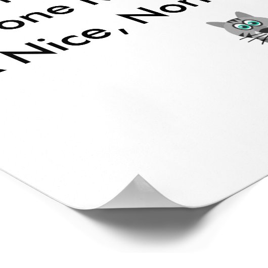 11 X 8,5 Poster (steen) (Hoek)