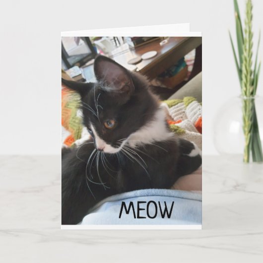 11e" BIRTHDAY WIST VAN BEIDE DOGS-kaart VAN DE VS Kaart (Voorkant)