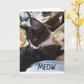 11e" BIRTHDAY WIST VAN BEIDE DOGS-kaart VAN DE VS Kaart (Gele Bloem)