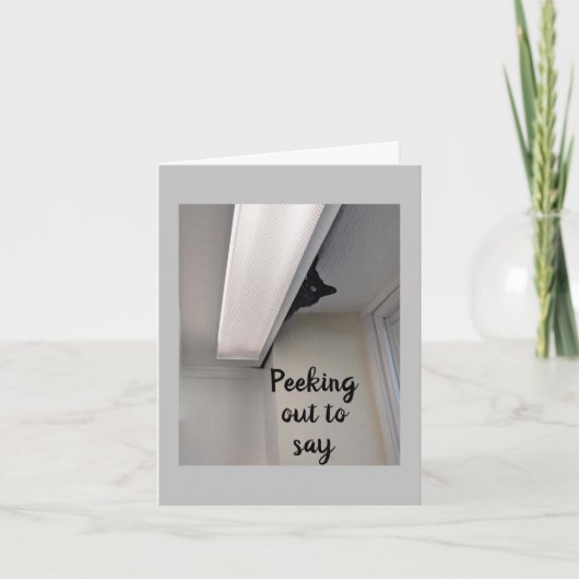 "11e MAANDAG" VAN EEN KAT VOOR DE PEEKKTE Kaart (Voorkant)