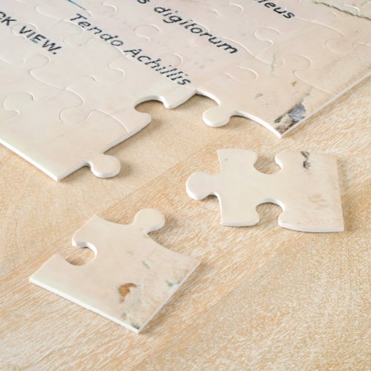 11x14  anatomieboekpagina's legpuzzel (Zijkant)