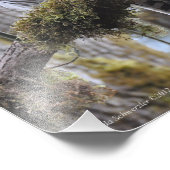 11X14 Barred Owl in Big Leaf Maple Tree Foto Afdruk (Hoek)