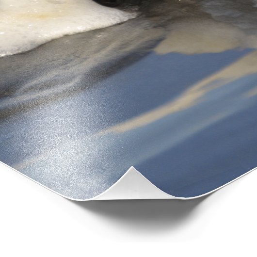 11X14 Dungeness Crab met het Surf dat over spuugt! Foto Afdruk (Hoek)