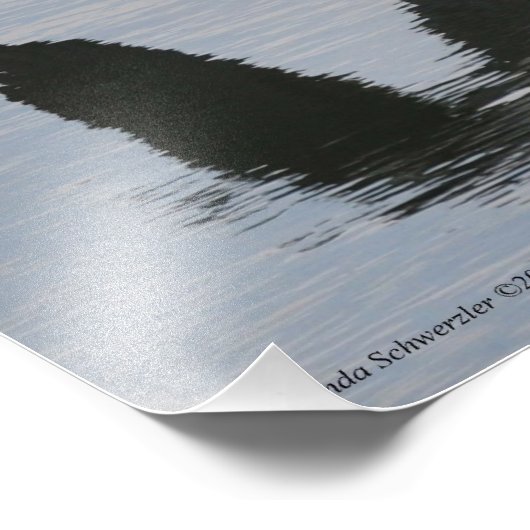 11x14 Great Blue Heron in vlucht Foto Afdruk (Hoek)