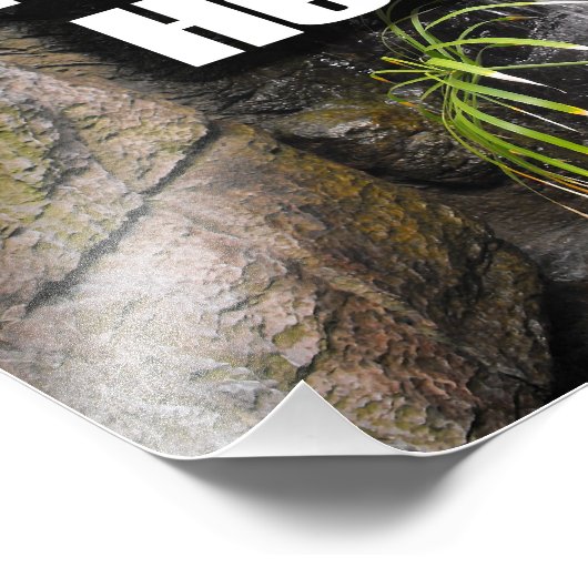 11x14 Grote fotoafdrukuitbreiding Foto Afdruk (Hoek)