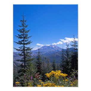 11x14-montagemogelijkheden voor St. Helens Foto Afdruk