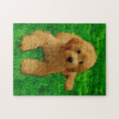 11x14 Rex The Goldendoedle Legpuzzel (Horizontaal)