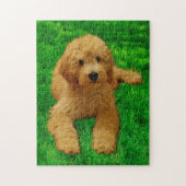 11x14 Rex The Goldendoedle Legpuzzel (Verticaal)