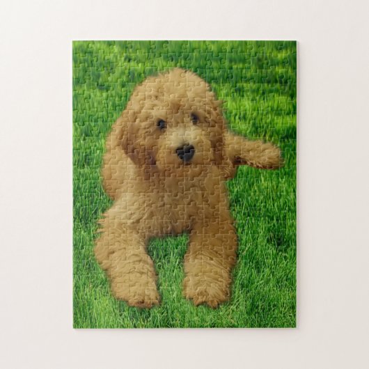 11x14 Rex The Goldendoedle Legpuzzel (Verticaal)