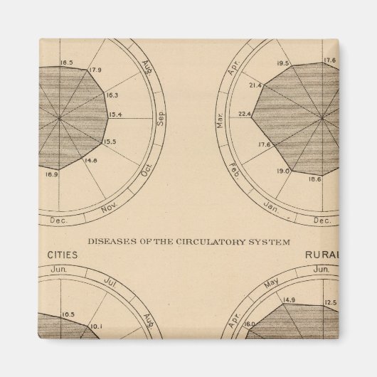 122 Sterfteziekten zenuw- en bloedsomloop Magneet (Voorkant)