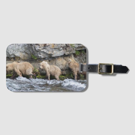 128 Grazer's Welpen bij Brooks Falls - Bagage Labe Bagagelabel (Voorkant (horizontaal))