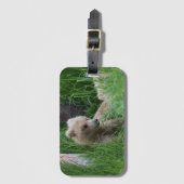 128 Kleinste deeltje van grazer - Bagagelabel 2 (Voorkant (verticaal))