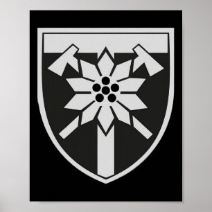 128ste Berg-Assault Brigade (Oekraine) Oekraïense Poster