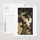 12. 老 鵡 図, 若 Pine-tree & Parrot, Jakuchu Briefkaart (Voorkant / Achterkant)