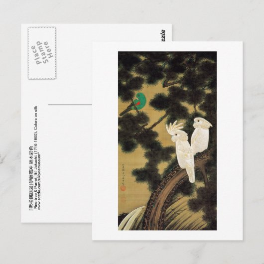 12. 老 鵡 図, 若 Pine-tree & Parrot, Jakuchu Briefkaart (Voorkant / Achterkant)