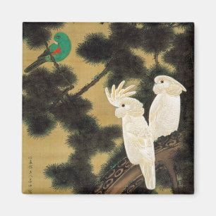 12. 老 鸚 図, 若 冲 Pine-tree & Parrot, Jakuchüu Magneet