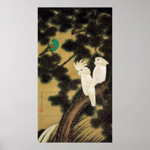 12. 老 鸚 図, 若 冲 Pine-tree & Parrot, Jakuchüu Poster
