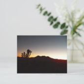 12-10-11 BRIEFKAART (Staand voorkant)