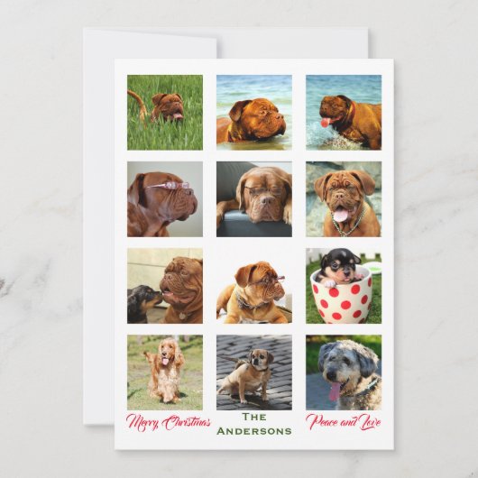 12 Afbeelding ongelooflijke kerstfamilie collage Kaart (Voorkant)